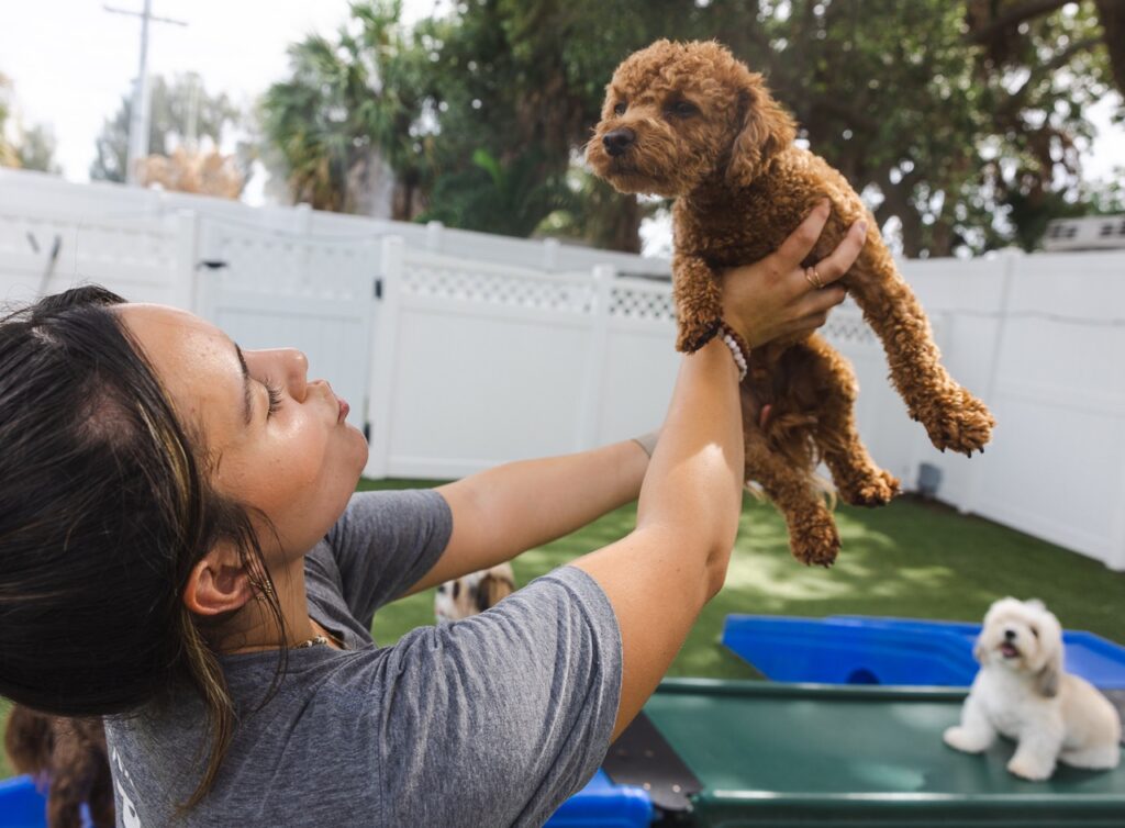 Dog membership solo adventures