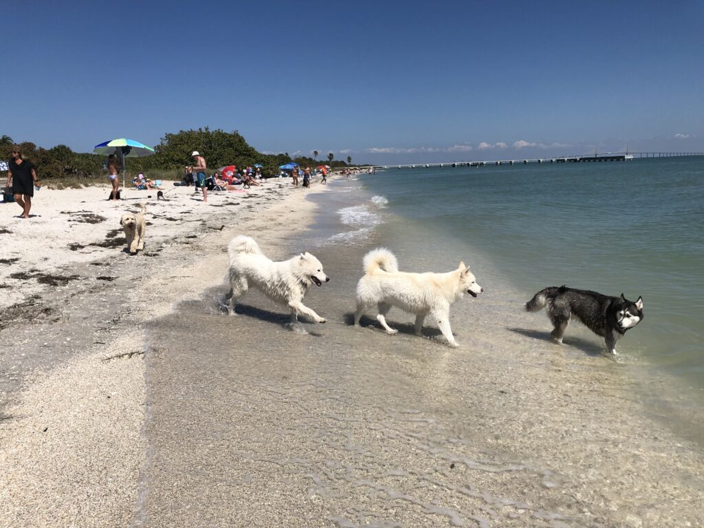 (c) Fort de Soto Park - Pinellas County