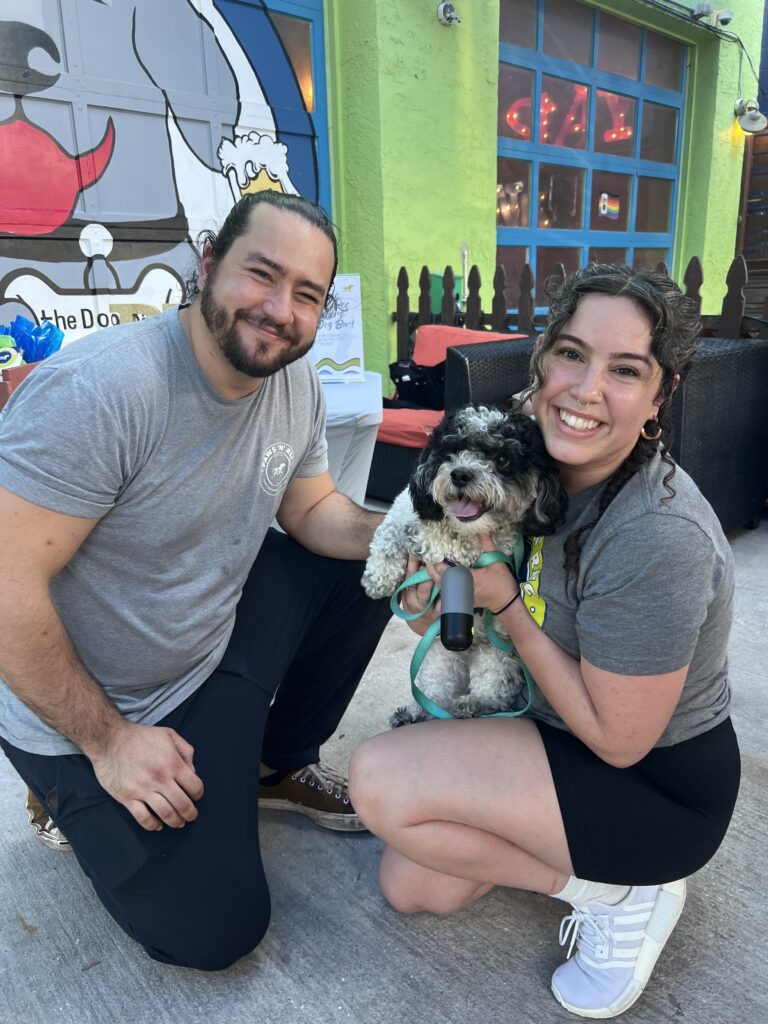 Top Things to Do with Dogs in St. Pete